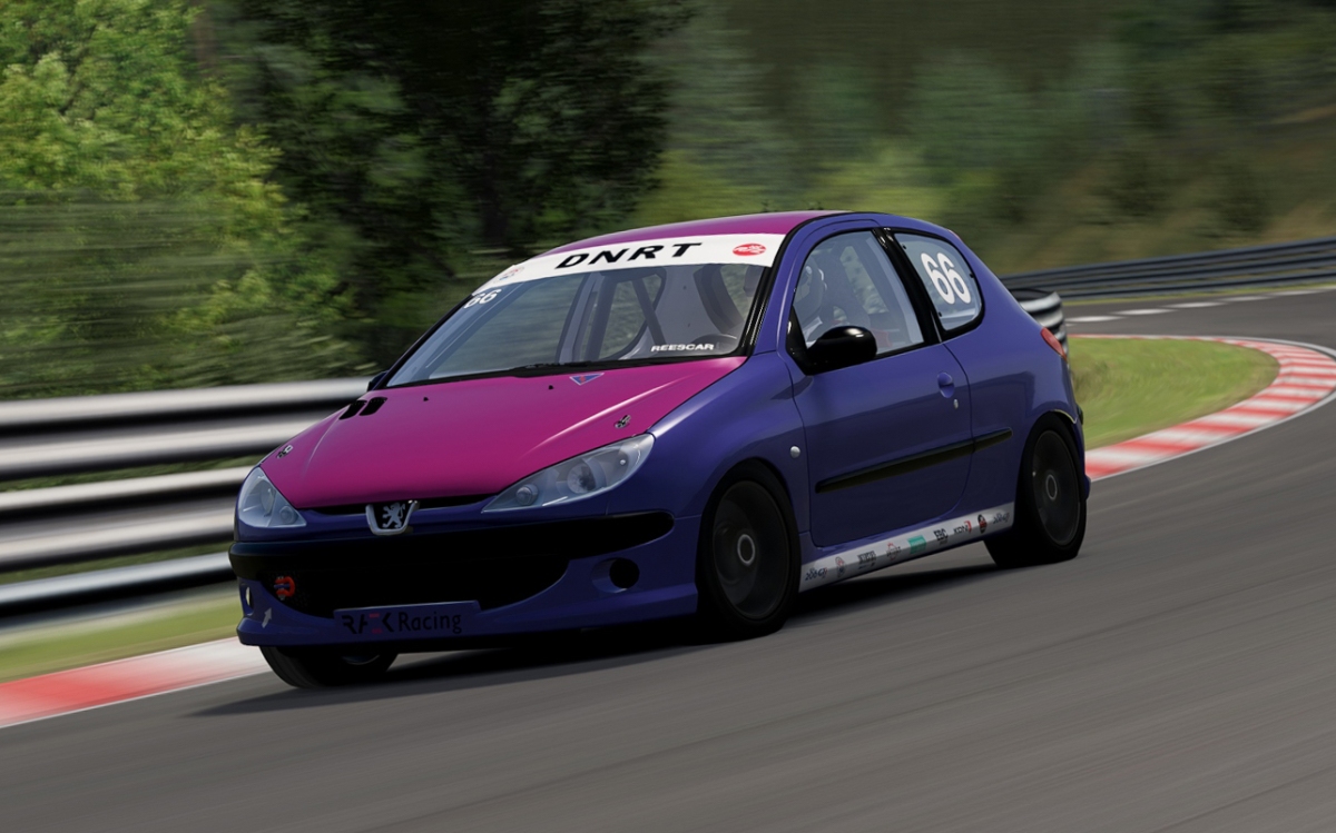 DNRT 206 GTi Cup: New Mod Now Available!
